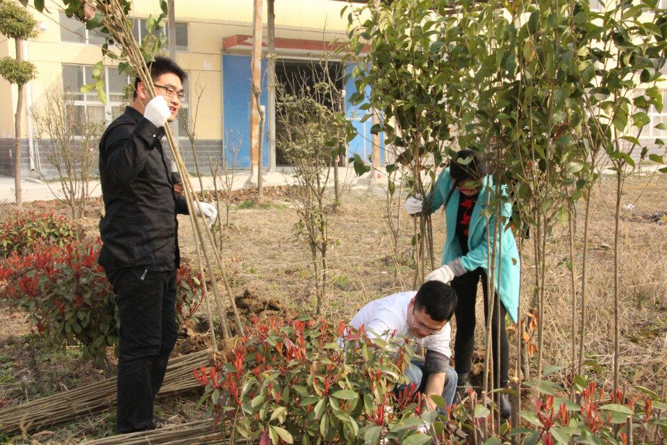 植树也讲究男女搭配干活不累 植树也讲究男女搭配干活不累