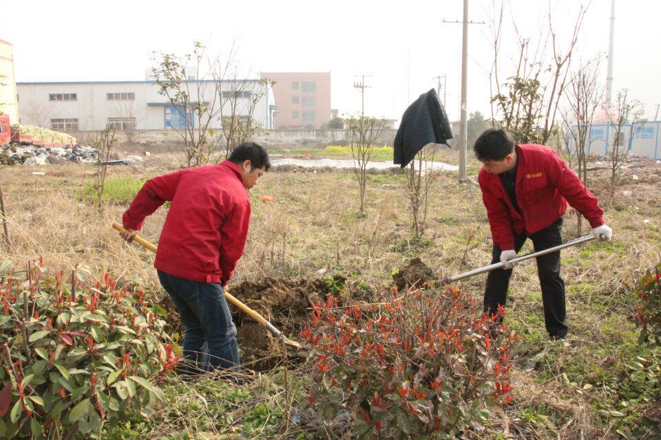植树挖坑很辛苦,土下都是废弃的建筑砖瓦 植树挖坑很辛苦,土下都是废弃的建筑砖瓦